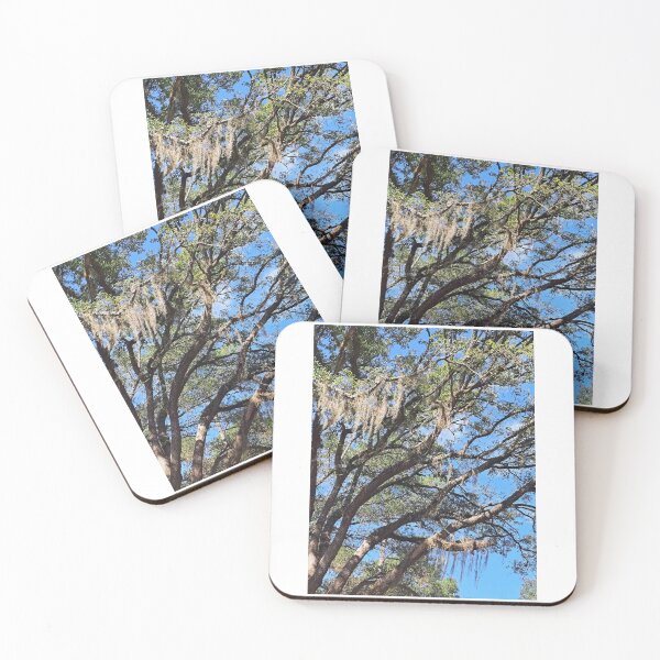 Item preview, Southern Charm designed and sold by MomOfArtists.