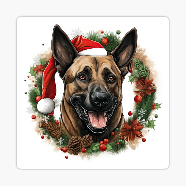 Belgian Malinois Christmas