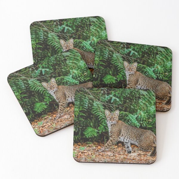 Item preview, Florida Bobcat designed and sold by Kay Brewer.