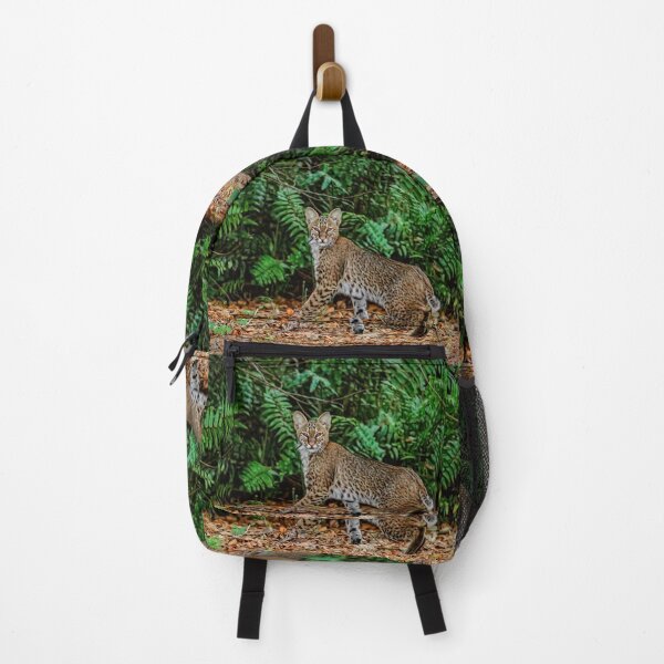 Item preview, Florida Bobcat designed and sold by Kay Brewer.