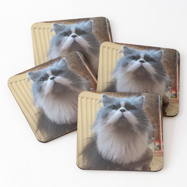 Item preview, Beautiful cat. Beautiful look. designed and sold by MjKris.