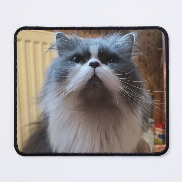 Item preview, Beautiful cat. Beautiful look. designed and sold by MjKris.