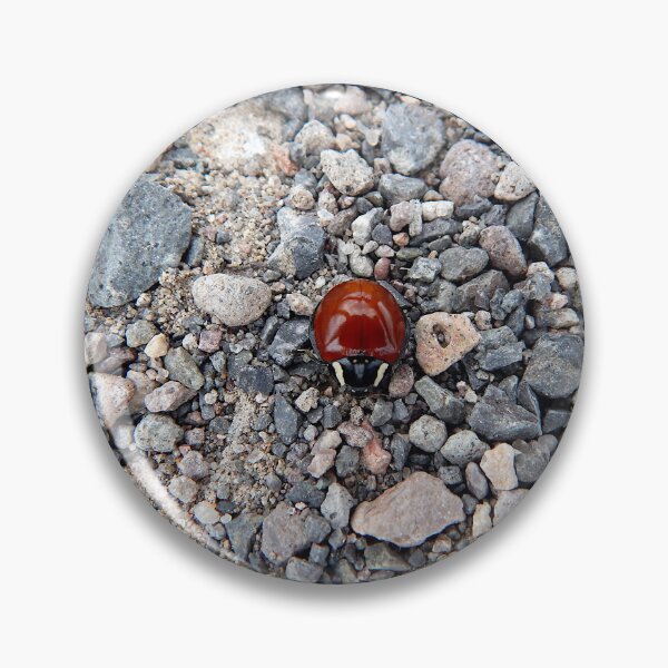Item preview, LeConte Large Lady Bug at the Very Large Array near Magdelena , NM designed and sold by gistinker.