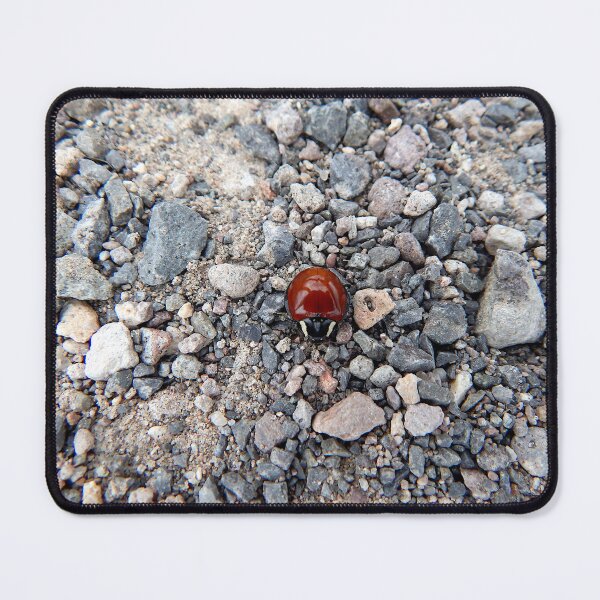 Item preview, LeConte Large Lady Bug at the Very Large Array near Magdelena , NM designed and sold by gistinker.