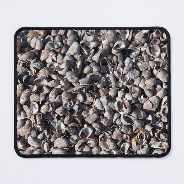 Item preview, Sea Shells designed and sold by ETMphotoart.