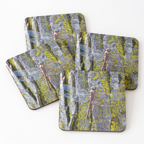 Item preview, Dragonfly designed and sold by Alison Meyer Photography.