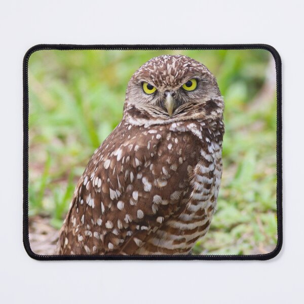 Item preview, Open to Shenanigans designed and sold by Michiale.