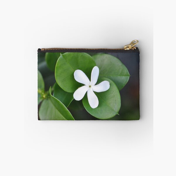 Item preview, Single white Natal plum flower with lovely green leaves designed and sold by IPPhotography.