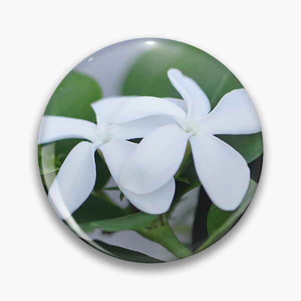 Item preview, Two White Natal Plum Flowers with green leaves designed and sold by IPPhotography.