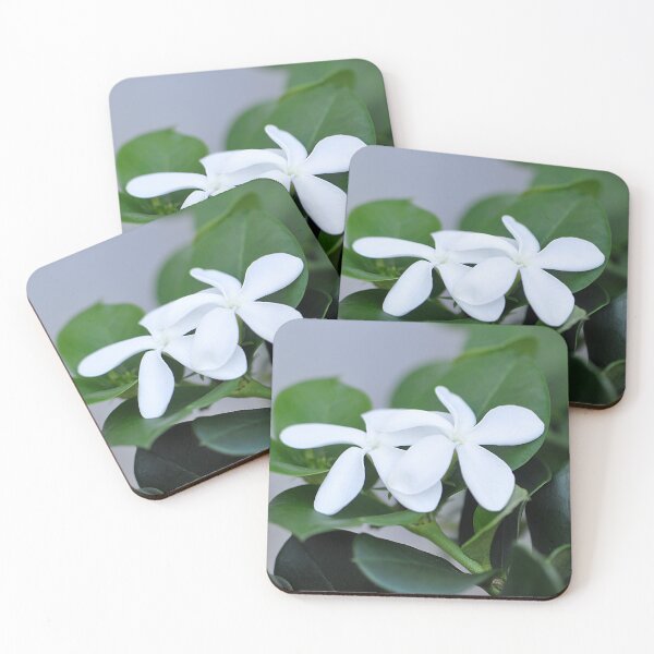 Item preview, Two White Natal Plum Flowers with green leaves designed and sold by IPPhotography.