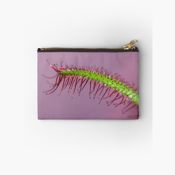 Item preview, Drosera Capensis (no dew) designed and sold by JMDesignHouse.