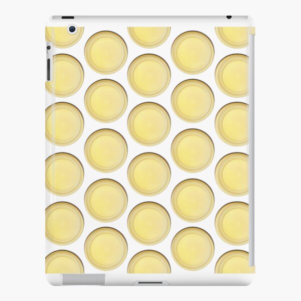 Doctor Who Tardis Interior Wall Style iPad Snap Case