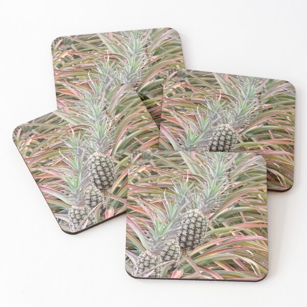 Item preview, Rows of yummy ripening pineapples on the plant designed and sold by IPPhotography.