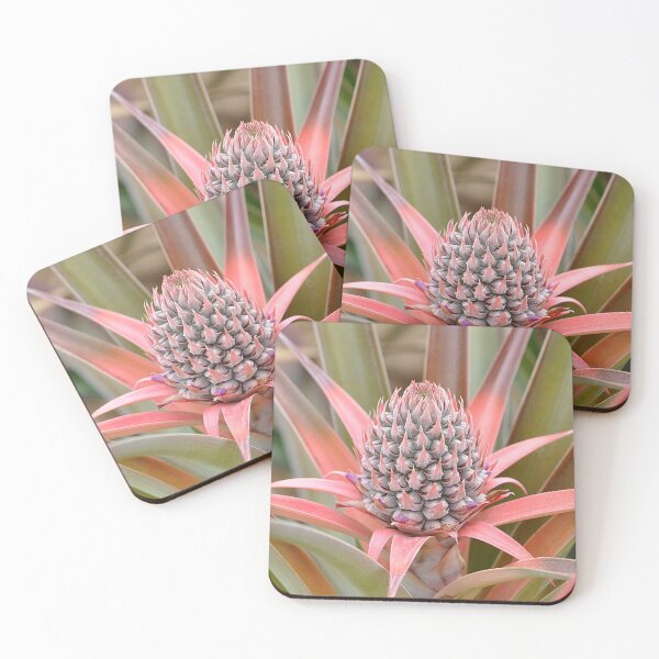 Item preview, Pretty pink young Pineapple on the plant  designed and sold by IPPhotography.