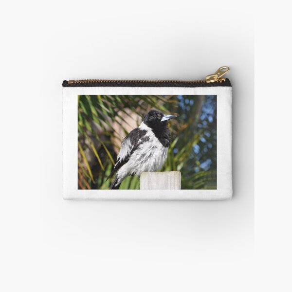 Item preview, A fluffy pied butcherbird sitting on a wooden fence post designed and sold by IPPhotography.
