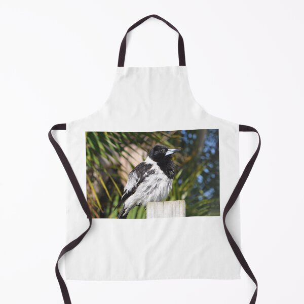 Item preview, A fluffy pied butcherbird sitting on a wooden fence post designed and sold by IPPhotography.