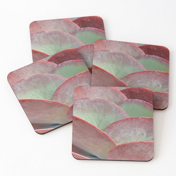 Item preview, Lovely closeup of an orange, red and green Flapjack Succulent designed and sold by IPPhotography.