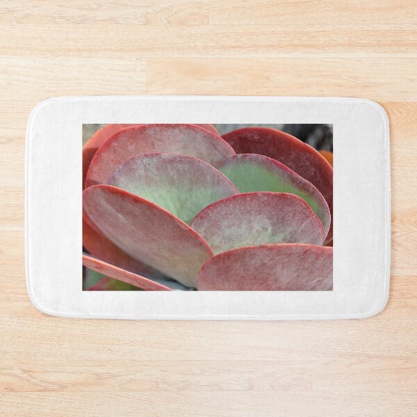 Item preview, Lovely closeup of an orange, red and green Flapjack Succulent designed and sold by IPPhotography.