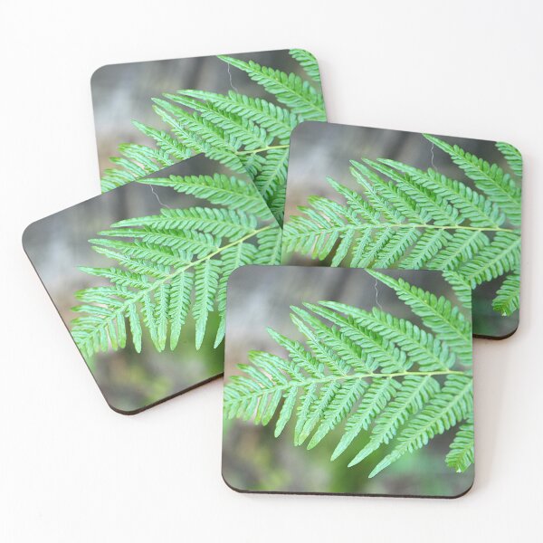 Item preview, Austalian Tree Fern designed and sold by IPPhotography.