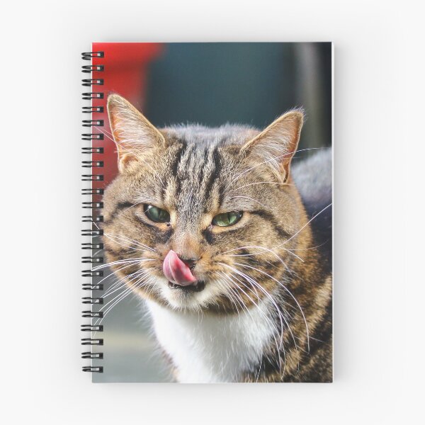 Item preview, Tongue flick designed and sold by GreyFeatherPhot.