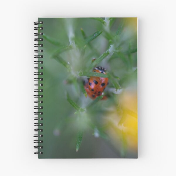 Item preview, Sleeping lady beetles designed and sold by FrogsandStars.