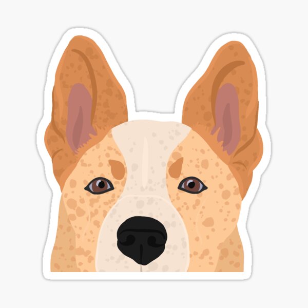 Aperçu de l'œuvre Copie de Curious Red Heeler - Cache-œil unique créée et vendue par kherrin.