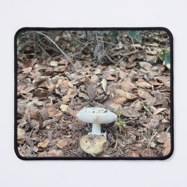 Item preview, double shroom designed and sold by daikon420.
