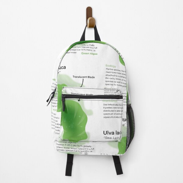 Item preview, Sea Lettuce designed and sold by CoastalArts.