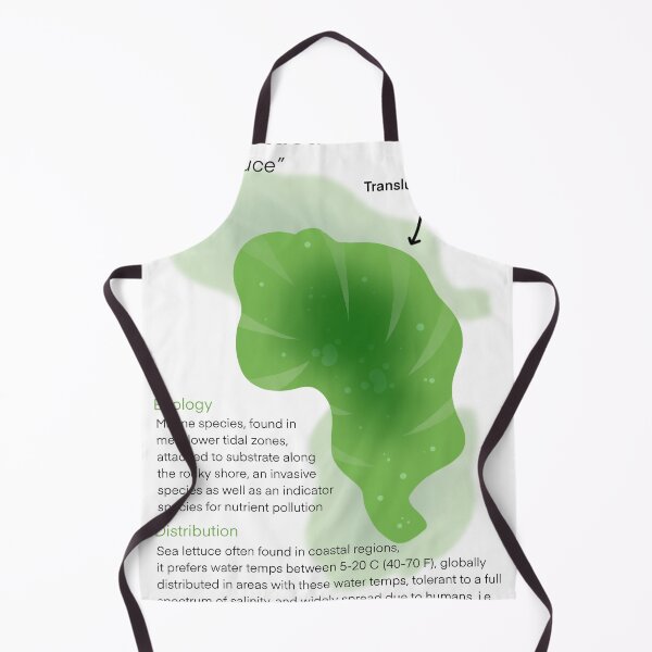 Item preview, Sea Lettuce designed and sold by CoastalArts.