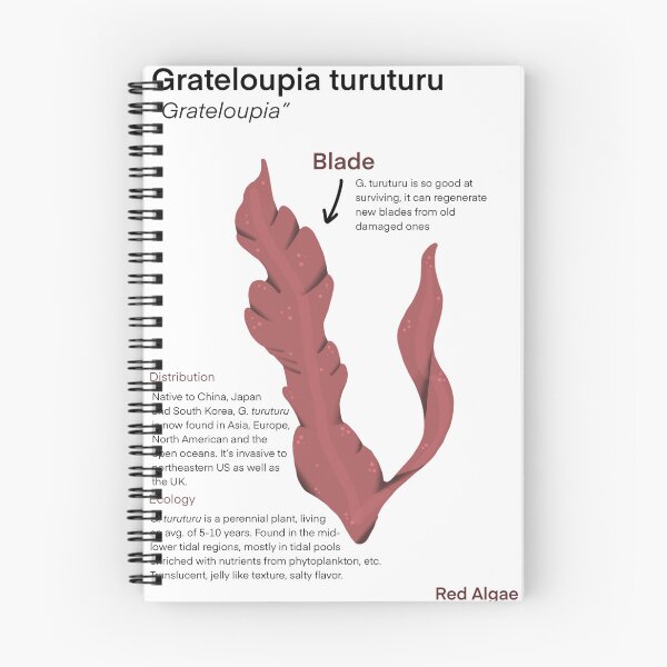 Item preview, Grateloupia designed and sold by CoastalArts.