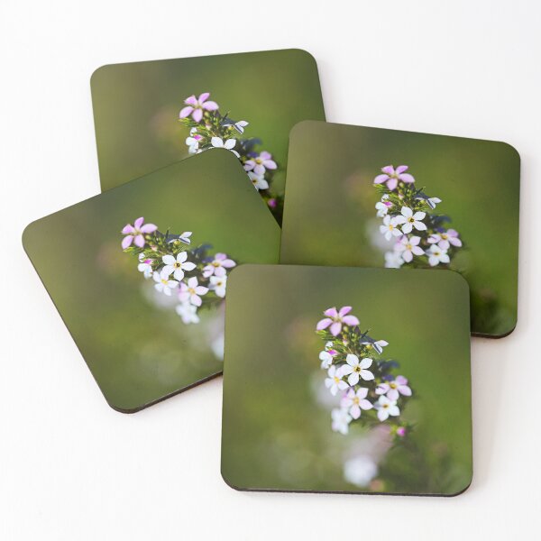 Item preview, Pink Diosma Flowers On Natures Green designed and sold by Joy Watson - Natural Light Photography .