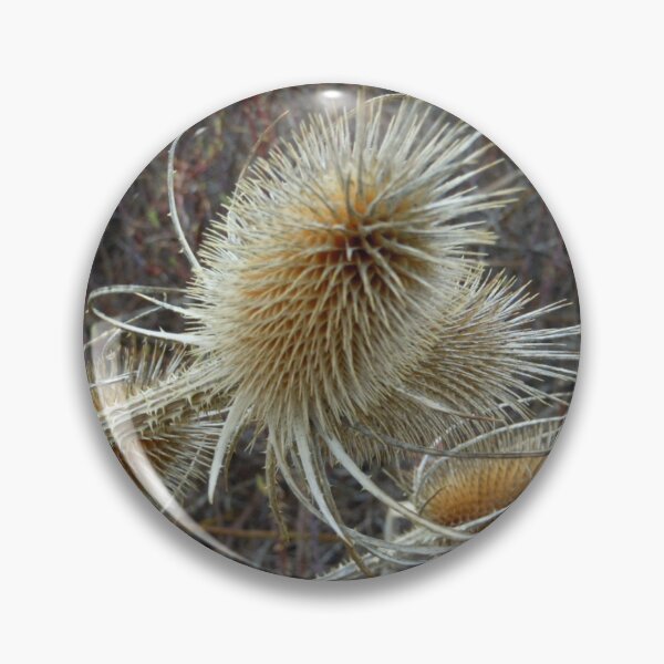 Item preview, Thistles designed and sold by DancingCreek.