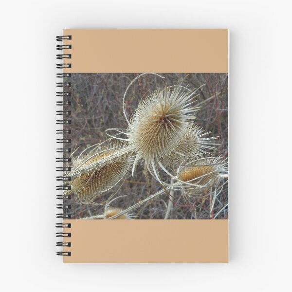 Item preview, Thistles designed and sold by DancingCreek.