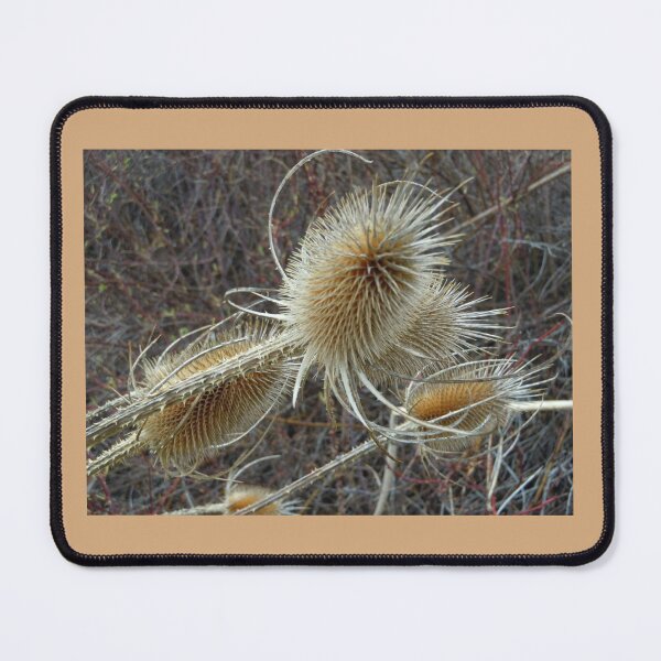 Item preview, Thistles designed and sold by DancingCreek.