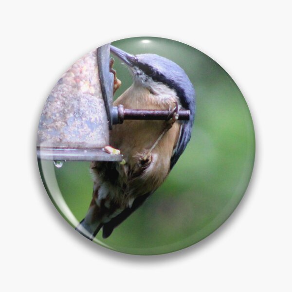 Item preview, nuthatch designed and sold by KathleenDawson.