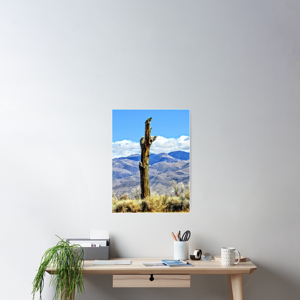 Item preview, Poster designed and sold by geteup.