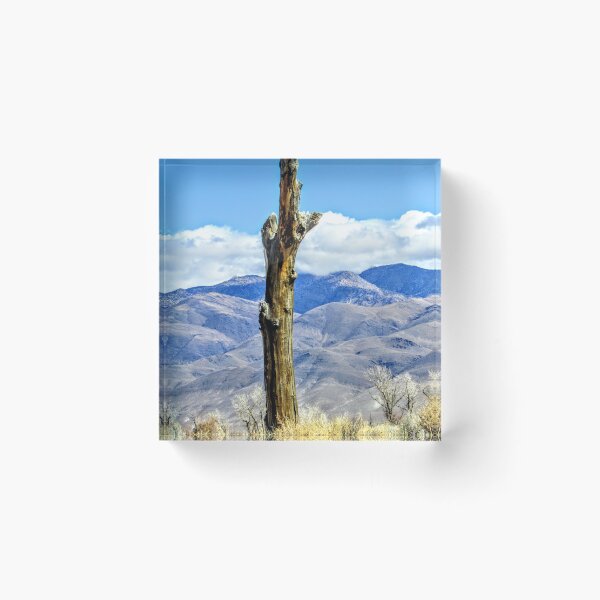 Item preview, Still Here designed and sold by MARILYN DIAZ.
