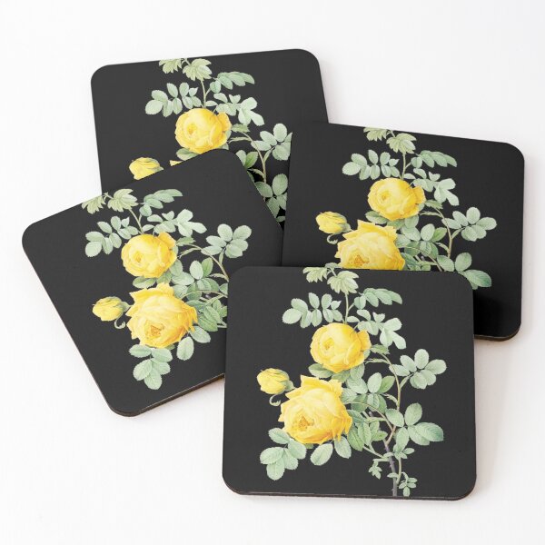 Item preview, Yellow Rose of Sulfur + Scientific name from Les Roses designed and sold by 29Bumblebee.