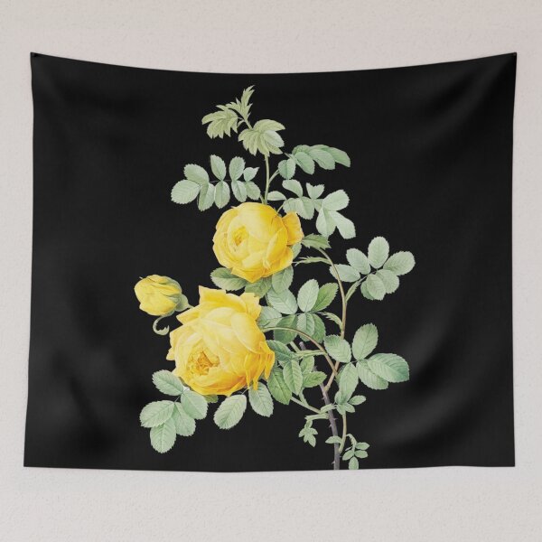 Item preview, Yellow Rose of Sulfur + Scientific name from Les Roses designed and sold by 29Bumblebee.