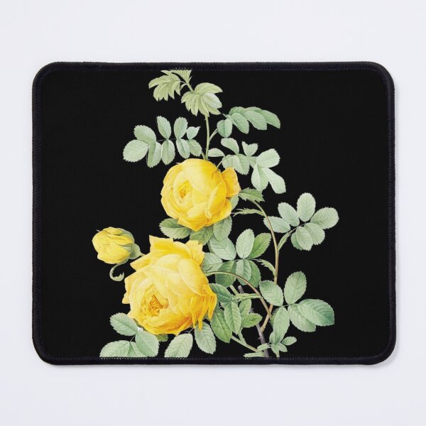 Item preview, Yellow Rose of Sulfur + Scientific name from Les Roses designed and sold by 29Bumblebee.