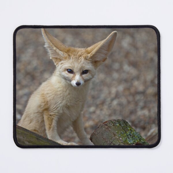 Item preview, So I'm a little small for my Ears......... designed and sold by Krys Bailey.