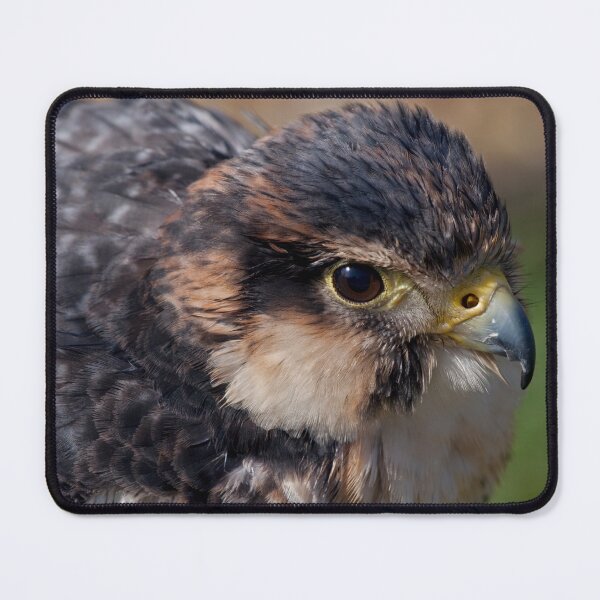Item preview, Peri-Lanner designed and sold by Krys Bailey.