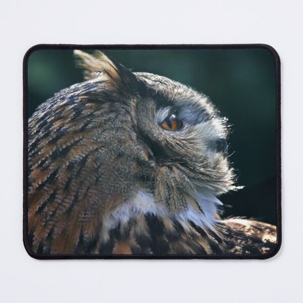 Item preview, Is this my best side? designed and sold by Krys Bailey.