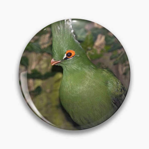 Item preview, Schalow's Turaco designed and sold by Krys Bailey.