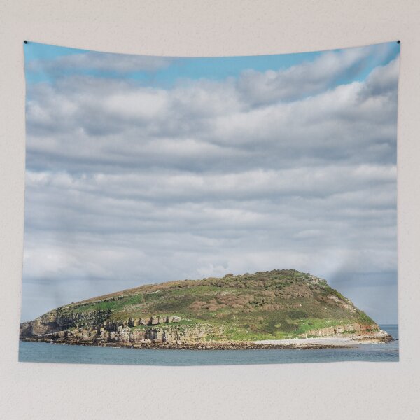 Item preview, Puffin Island off Penmon Point designed and sold by heidipics.