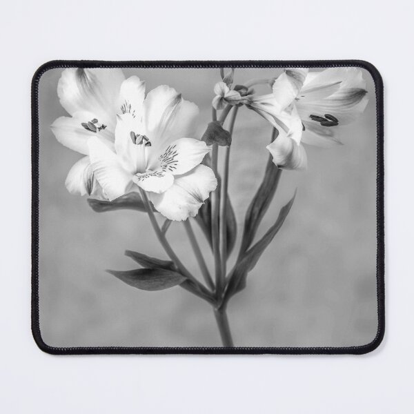 Item preview, White Lily Black and White designed and sold by Jim Key.