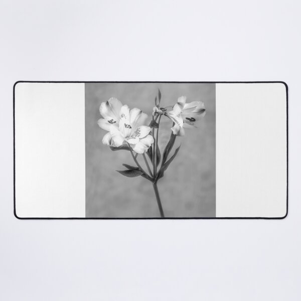 Item preview, White Lily Black and White   designed and sold by Jim Key.