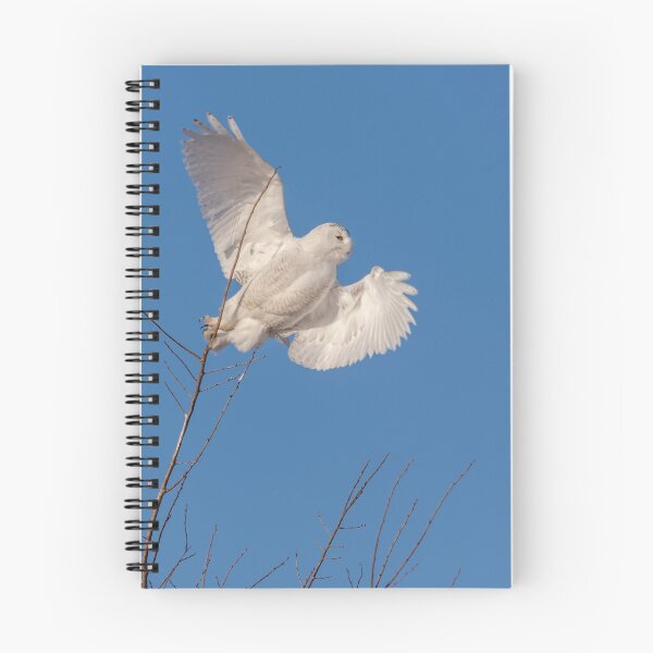 Item preview, Snowy Owl 2018-11 designed and sold by Thomasyoung.