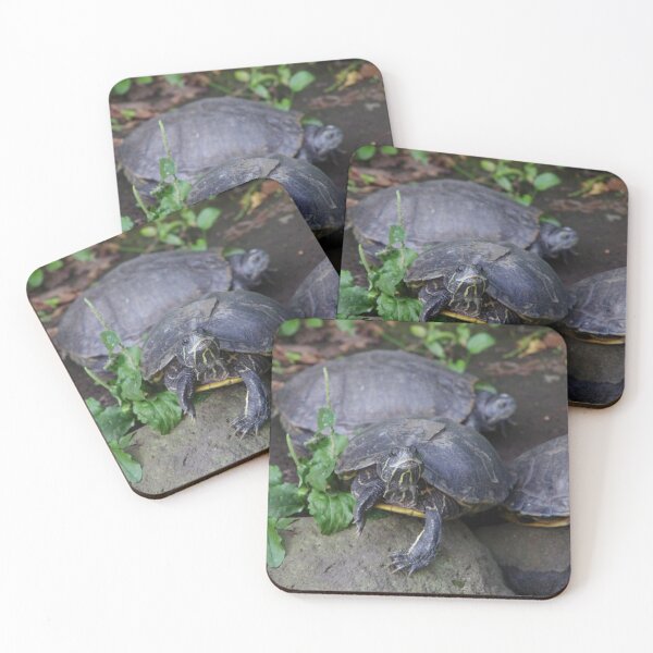 Item preview, Tortuga designed and sold by mymarvelous.