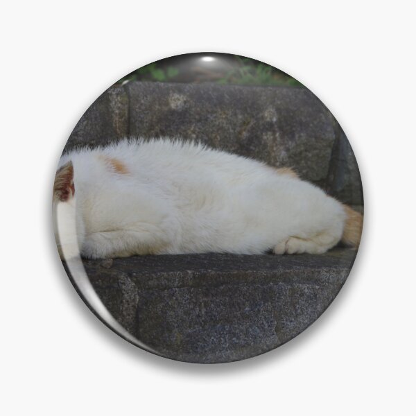 Item preview, sleeping cat on stone stairs designed and sold by mymarvelous.